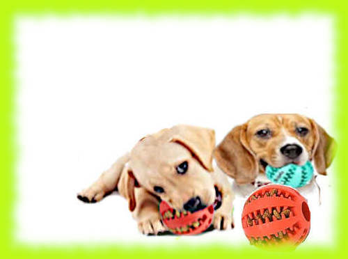 balls filled with dog treats for lots of hours of fun for puppy