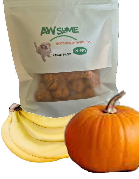 Delicious banana and pumpkin puppy treats