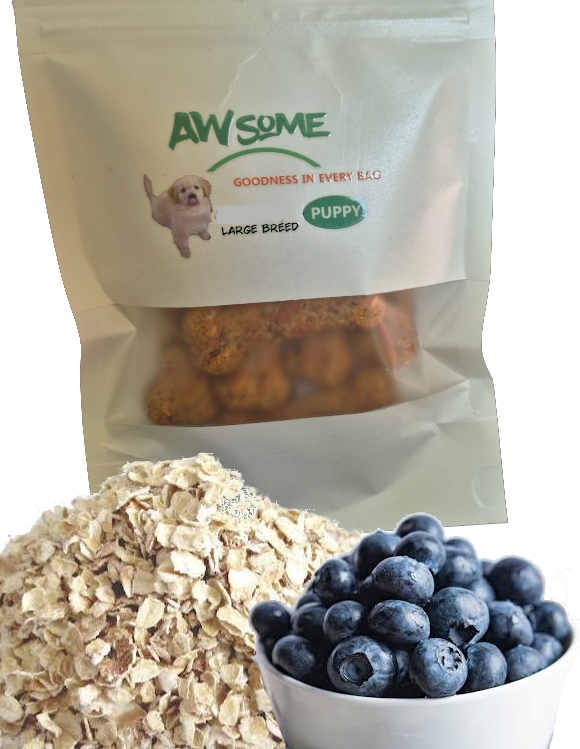 puppy oats and blueberries treats