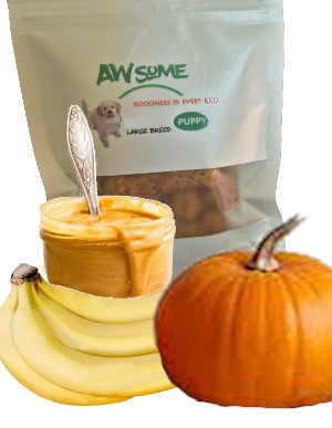 peanut butter banana pumpkin treats for puppies